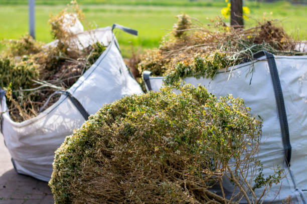 Best Construction Debris Removal  in Valenti, NE